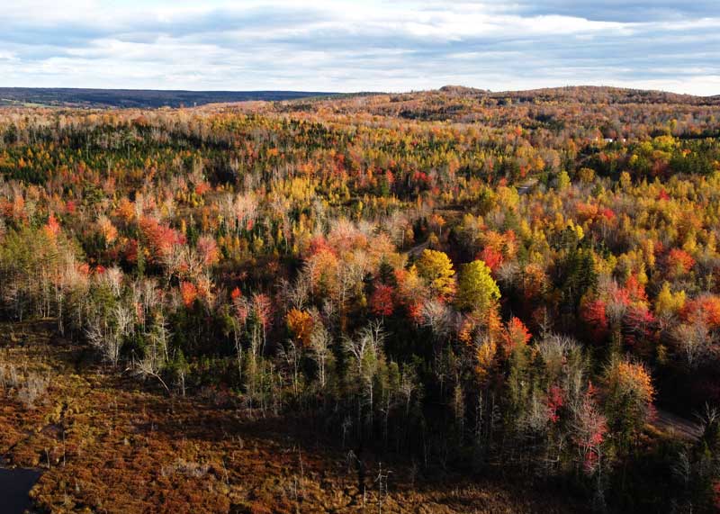 aerial fall colors