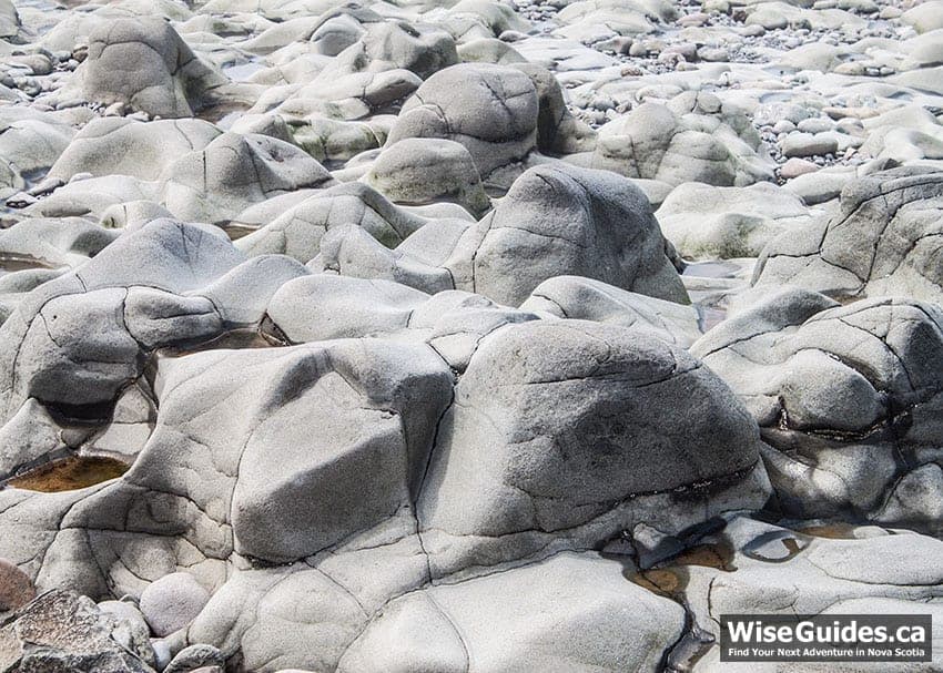 Ocean floor at low tide in the Bay of Fundy